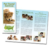 pet dental services brochure