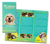 Download the Pet Dental Services Brochure